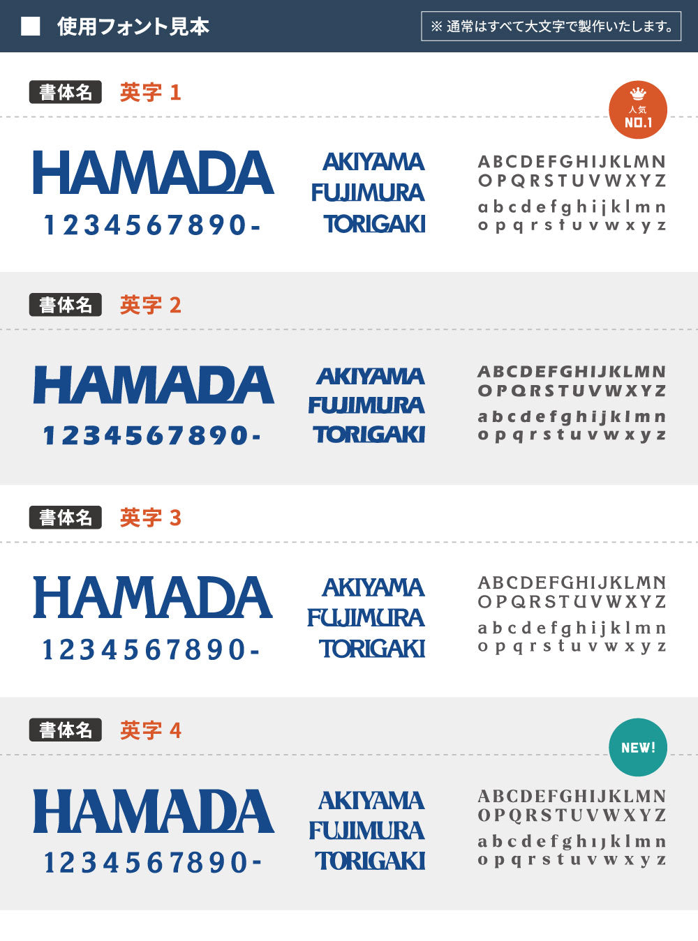 表札 おしゃれ 戸建て ステンレス 英数字 アルファベット 切り文字 住宅 玄関 gs-nmpl-1005