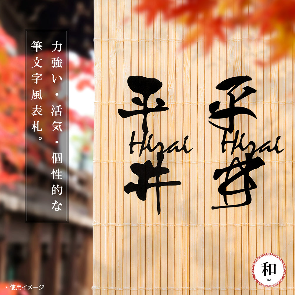 表札 戸建て 漢字と英字アルファベットの2つを併記 玄関 切り文字 gs-nmpl-1021