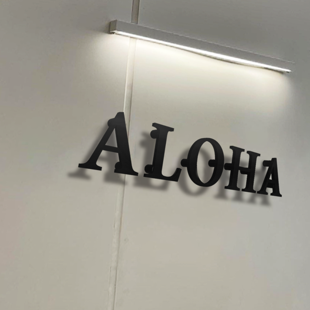 表札 おしゃれ 【必要な文字数でご注文してください】ステンレス 切り文字 50mm角 アルファベット ローマ字 戸建て 住宅 ksk-eng-50-bk