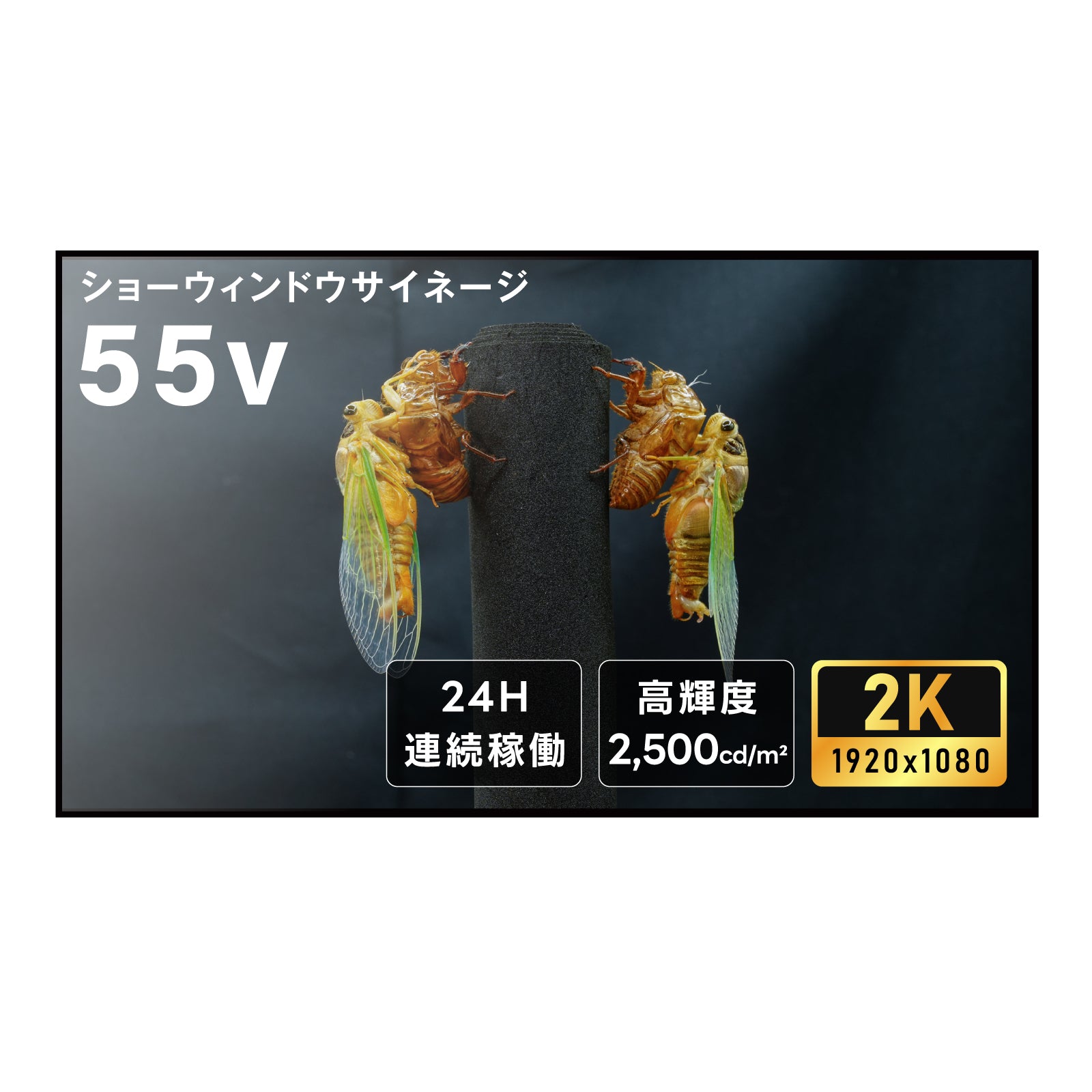 屋内仕様 2500輝度 デジタルサイネージ 55インチ 電子看板 TV-G55-ID