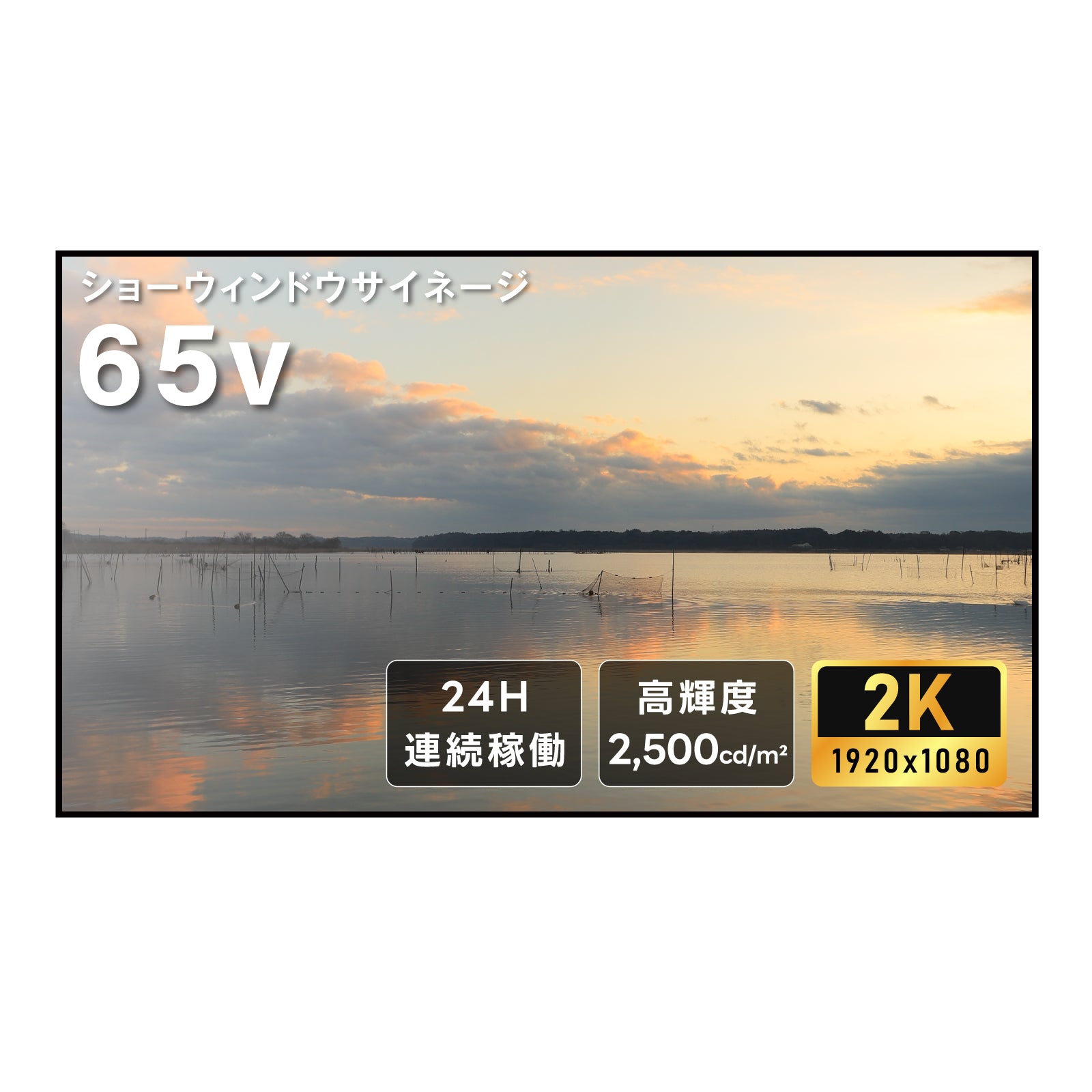 屋内仕様 2500輝度 デジタルサイネージ 65インチ 電子看板 TV-G65-ID