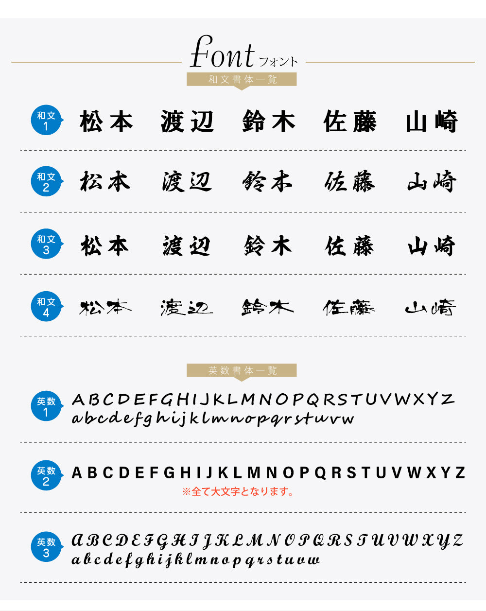 表札 戸建て おしゃれ 一軒家 玄関ドア 漢字+英字 戸建て ステンレス gs-nmpl-1020